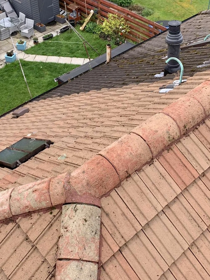 Roof Clean (After)