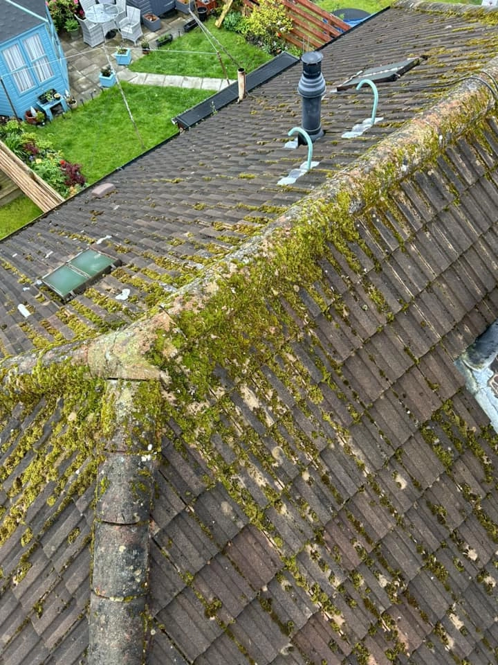 Roof Clean (Before)